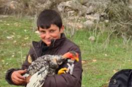 دجاجة طفل لبناني تخيف جنود الاحتلال الإسرائيلي- (فيديو)
