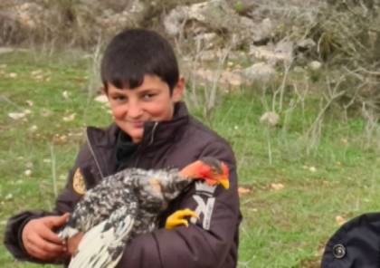 دجاجة طفل لبناني تخيف جنود الاحتلال الإسرائيلي- (فيديو)