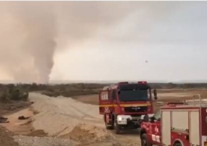 فيديو:  اندلاع حريق كبير على الحدود الفلسطينية_ الأردنية 