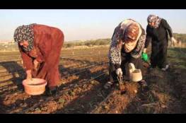 الاغاثة الزراعية تنفذ مبادرة “معكن إيد بإيد” لمساعدة مزارعات منطقة الشوكة
