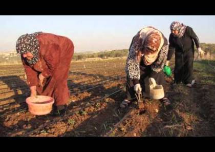 الاغاثة الزراعية تنفذ مبادرة “معكن إيد بإيد” لمساعدة مزارعات منطقة الشوكة