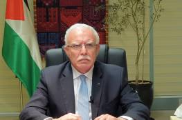 المالكي أمام مجلس الأمن: الضم لن يمر دون مواجهة وتبعات قانونية