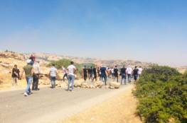 10 اصابات بنيران الاحتلال عند حاجز "تياسير" في الاغوار