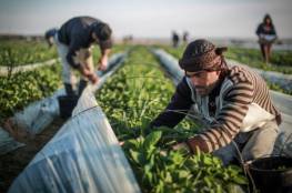 نقابات العمال: الاحتلال ارتكب جرائم بحق المزارعين خلال 2021