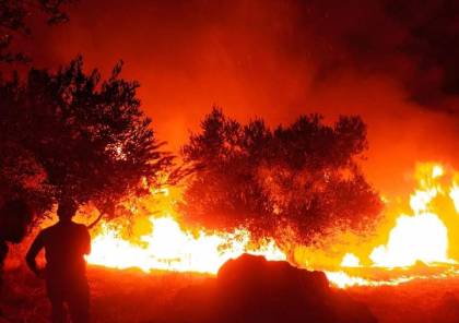 إخماد 13 حريقا في جنين طالت 380 شجرة حرجية ومثمرة