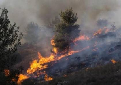 مستوطنون يشعلون النيران في أراض بحوسان غرب بيت لحم