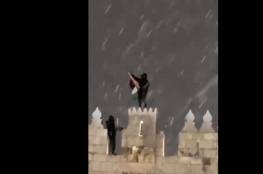 وسط تساقط الثلوج على مدينة القدس.. فلسطيني يعتلي باب العامود ويلوح بالعلم (فيديو)