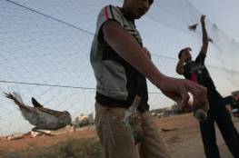 قوات الاحتلال تستهدف صيادي العصافير وسط القطاع بالرصاص وقنابل الغاز