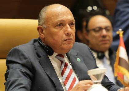 وزير الخارجية المصرية: لن نسمح بأن يتعرض أمننا القومي للخطر نتيجة لتطورات الوضع في ليبيا