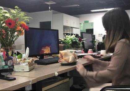 موظفة صينية تطهو دجاجة بمقر عملها !