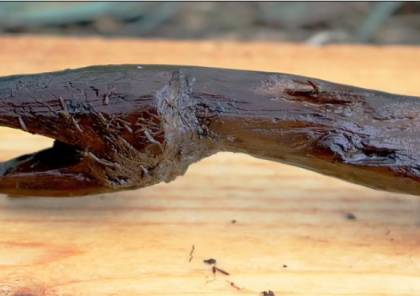 اكتشاف "عصا ثعبان" فريدة من نوعها تبلغ من العمر 4400 عام في فنلندا!