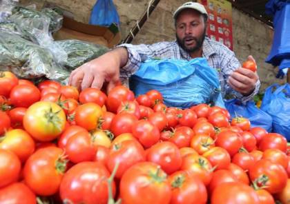 زراعة غزة توضح أسباب ارتفاع سعر "البندورة" في الأسواق