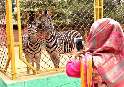 اقفال حديقة الحيوانات في باكستان والسبب ؟!