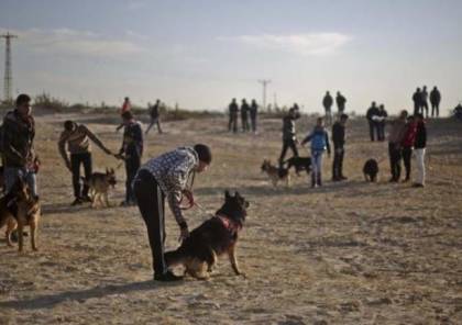غزة.. قرار بمنع اصطحاب الكلاب للأماكن العامة وشاطئ البحر