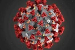 75 مليون إصابة بفيروس كورونا في العالم