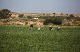نقابات عمال فلسطين بغزة: الاحتلال ارتكب جرائم بحق المزارعين خلال 2021