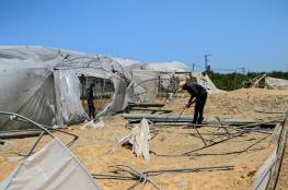 أكثر من مليون دولار خسائر القطاع الزراعي جراء العدوان على غزة