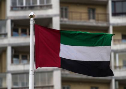 محمد بن راشد يدعو إلى رفع علم الإمارات على المؤسسات والوزارات في توقيت موحد يوم 3 نوفمبر