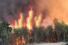 مستوطنون يضرمون النار في الأراضي الزراعية شرق طولكرم
