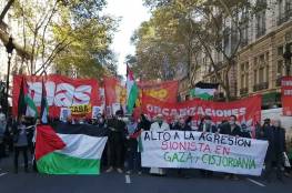 حزب الخضر البلجيكي يدعو لوضع حد لانتهاكات القانون الدولي في فلسطين