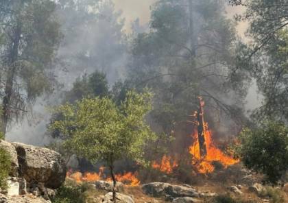 الحرائق تعود مجدداً إلى غابات وأحراش القدس المحتلة