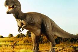 اكتشاف آثار أقدام ديناصورات في شمال غربي الصين تعود لـ 100 مليون عام
