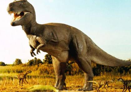 اكتشاف آثار أقدام ديناصورات في شمال غربي الصين تعود لـ 100 مليون عام