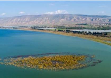 ارتفاع منسوب مياه بحيرة طبريا بـ 3.5 سم