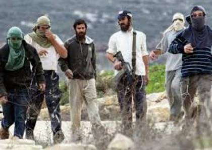 مستوطنون يهاجمون مواطنين وعمال بناء في تل ارميدة بالخليل