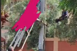 فيديو: مصرع مواطن من مخيم البريج بصعقة كهربائية خلال عمله