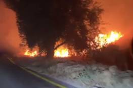شاهد: مستوطنون يشعلون النيران في أراض بسعير