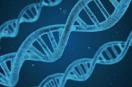 دراسة: 5 جينات "تسرع" وفاة مريض كورونا