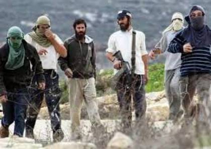 هآرتس: إسرائيل وظفت “شبيبة التلال” لنهب حقوق الفلسطينيين وحرمانهم من تقرير مصيرهم؟