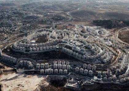 "السلام الآن": "القومي اليهودي" يخطط لعمليات استيطان واسعة قد تشرد آلاف الفلسطينيين