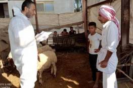 زراعة غزة تشرع بحملة للتطعيم ضد مرض "الحمى المالطية"