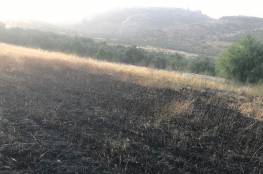 مستوطنون يحرقون أراضي زراعية شرق طولكرم