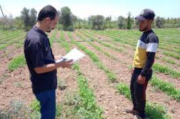الاغاثة الزراعية تنفذ زيارات ارشادية للمزارعين في قطاع غزة
