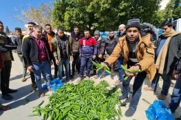 غزة: مزارعون يحتجون على وقف تصدير الخضروات 