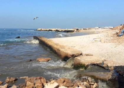 غزة: مزيد من التحسن في جودة مياه البحر