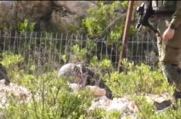 بالفيديو: جندي إسرائيلي "نائم" على الحدود اللبنانية يتلقى ركلة ويثير موجة "سخرية"