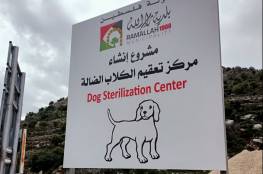 بلدية رام الله تعمل على انشاء مركز للتعامل مع الكلاب الضالة