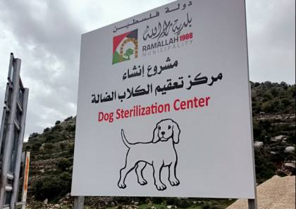 بلدية رام الله تعمل على انشاء مركز للتعامل مع الكلاب الضالة