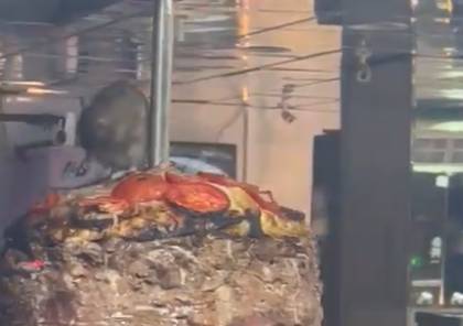 فأر يقف على سيخ شاورما في مطعم شهير بالسعودية يثير ضجة والسلطات تتدخل (فيديو)