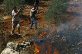 مستوطنون يحرقون مساحات واسعة في قرية بورين بنابلس