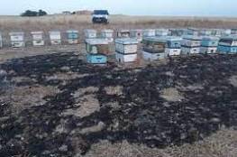 مستوطن يحرق 20 خلية نحل لمواطن في خربة زنوتا جنوب الخليل