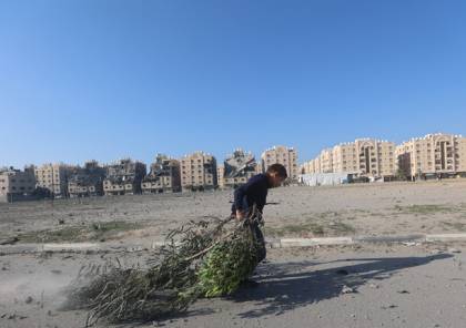بلدية غزة: الجيش الإسرائيلي دمر مشتل البلدية شمال شرق القطاع