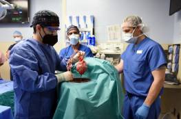 "أريد أن أعيش... إنها خياري الأخير": جراحون أمريكيون ينجحون في زراعة قلب خنزير في جسم إنسان