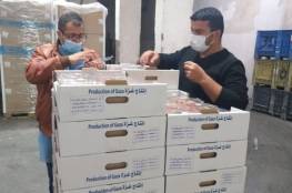 الزراعة بغزة: تسويق أول شحنة فراولة الى المحافظات الشمالية