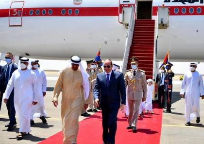 شاهد: الرئيس الإماراتي يصل إلى مصر للمشاركة في قمة عربية خماسية 