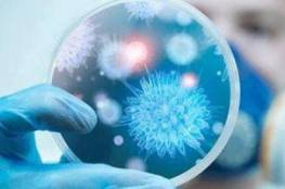 فيروس كورونا يزيد المخاطر الصحية المرتبطة بموجات الحر